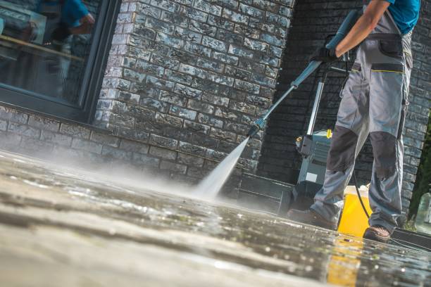 Best Gutter Cleaning  in Geneva, IN